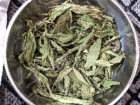 Cỏ ngọt nguyên lá loại chọn