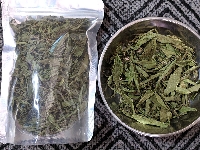 Cỏ ngọt nguyên lá loại chọn