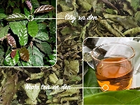 Nước trà xạ đen
