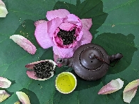 Pha trà sen Tây Hồ Minh Nghĩa