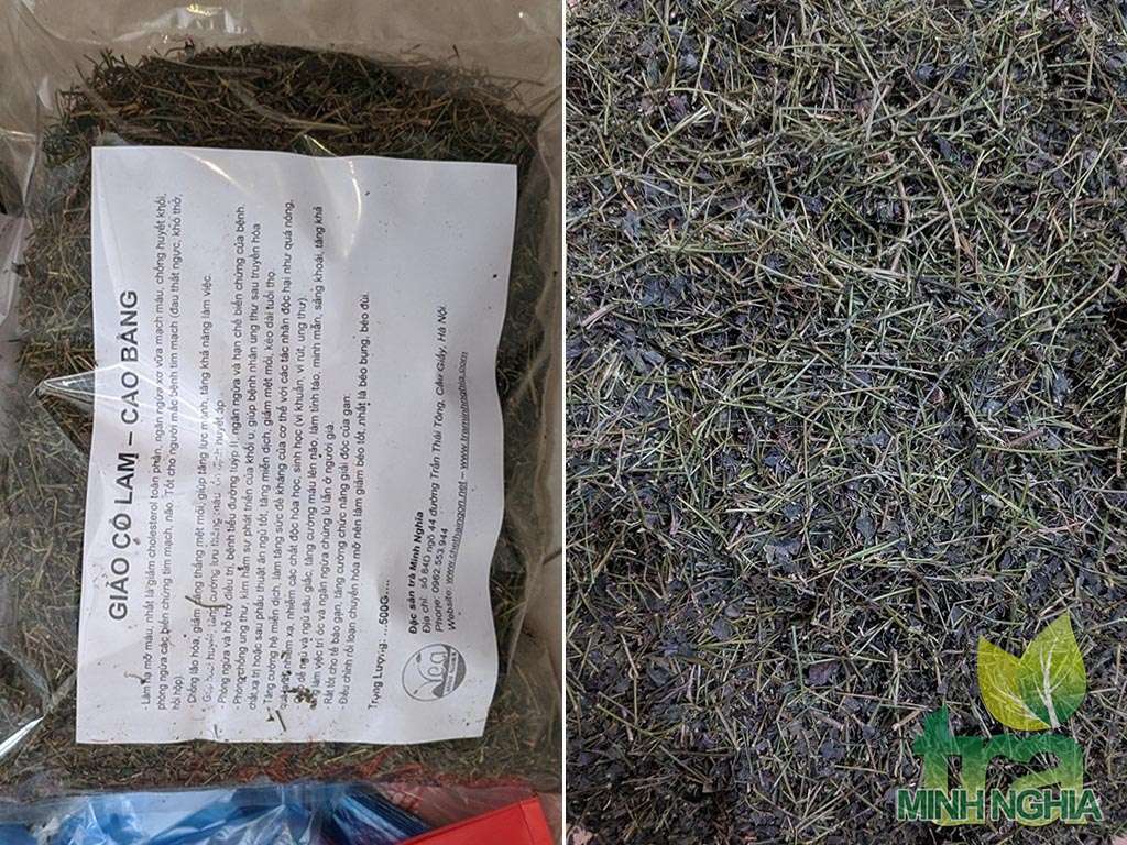 Trà giảo cổ lam sao thơm