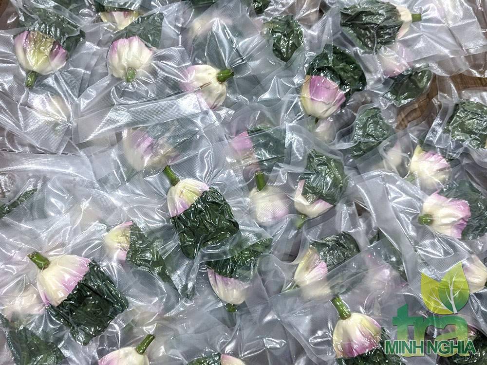 Mẫu trà sen Tây Hồ Minh Nghĩa thượng hạng
