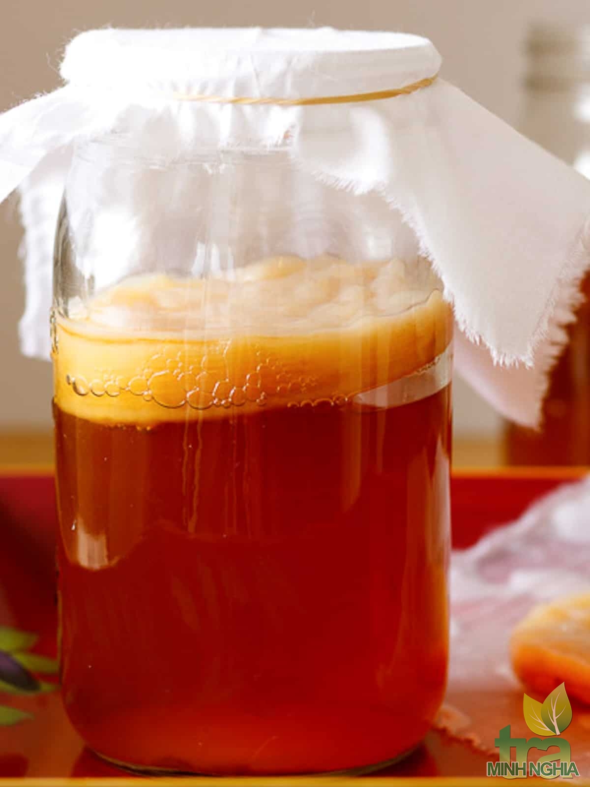 Hình ảnh SCOBY đã được nuôi thành công