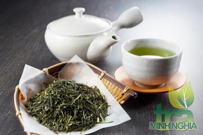 Sencha là gì? Tác dụng và cách pha trà sencha thơm ngon