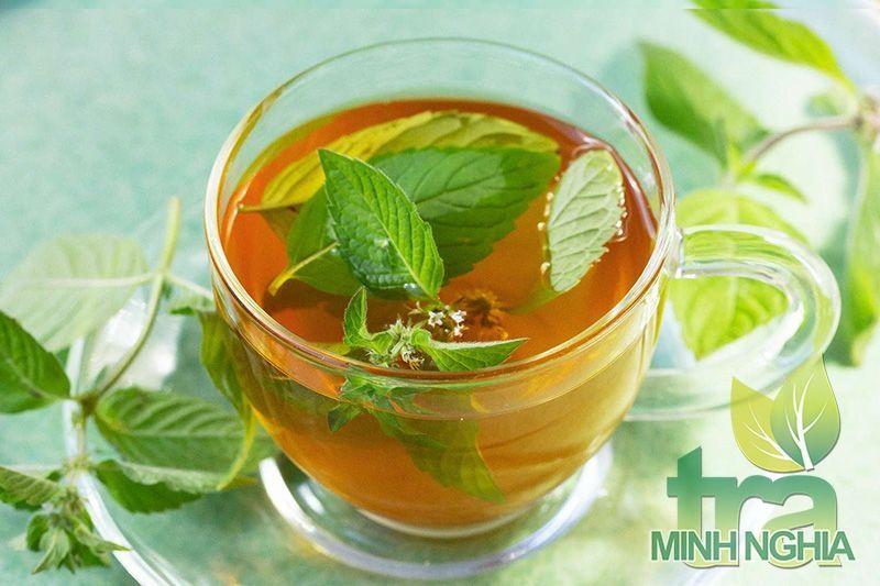 Tìm hiểu về công dụng và cách pha trà bạc hà