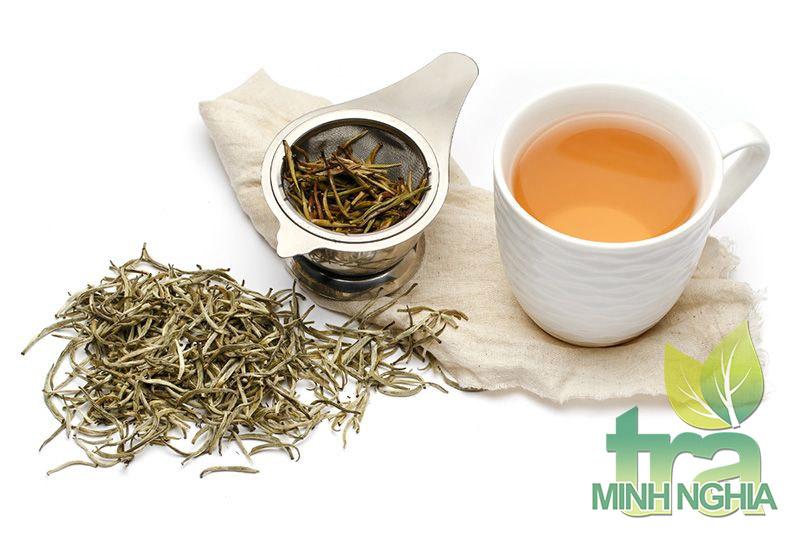 Bạch trà giúp tăng cường đốt cháy chất béo ở những người mắc bệnh béo phì