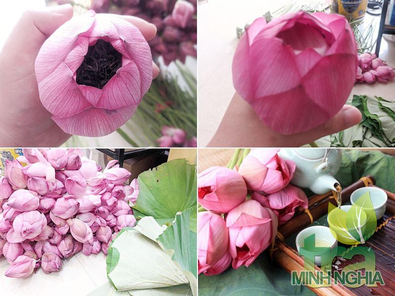 Ướp trà sen phải để ít nhất 1, 2 ngày cho hương thơm và vị trà ngon