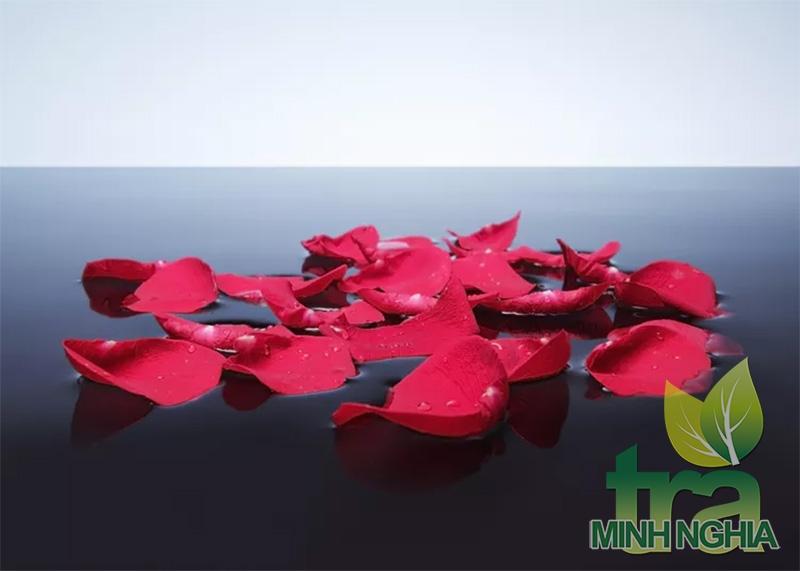 Cách tạo ra nước và tinh dầu hoa hồng