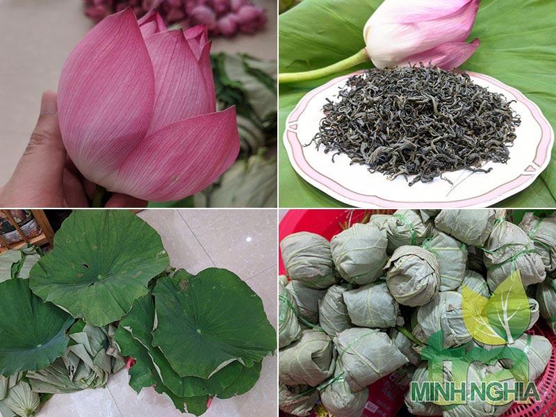 Chọn bông sen to, loại trà ngon để ướp