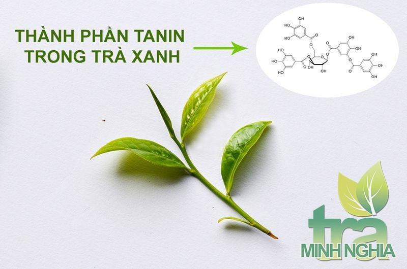Cấu trúc hóa học của Tanin