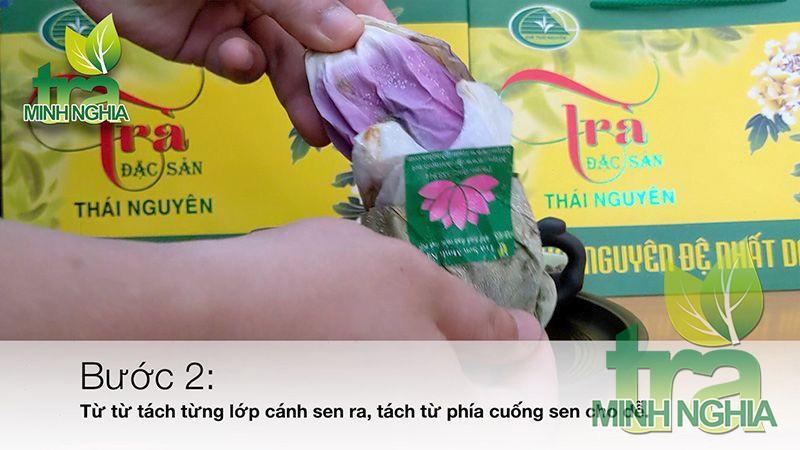 hướng dẫn cách lấy và pha trà ướp bông sen bước 2