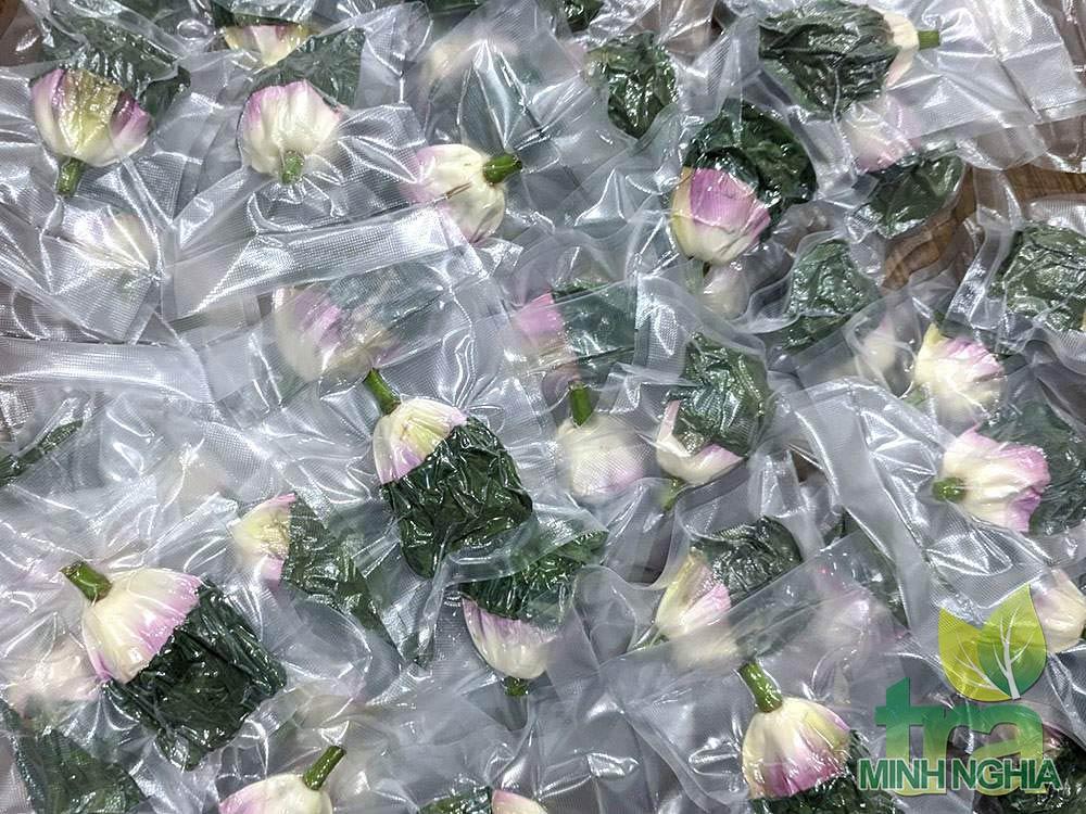 trà ướp bông sen tươi được đóng gói hút chân không