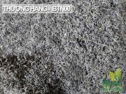 Trà Tân Cương loại thượng hạng