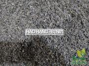Trà Tân Cương loại hảo hạng túi 100g