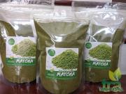 Bột trà xanh Matcha gói 1kg