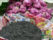 Chuẩn bị hoa và trà để ướp trà sen