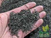 Cọng trà đinh tân cương thượng hạng