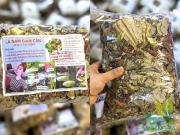 Trà lá nam giảm cân