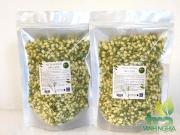 Nụ hoa nhài sấy lạnh gói 100g