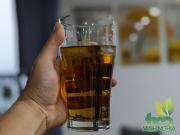 Nước vối đã giải nhiệt