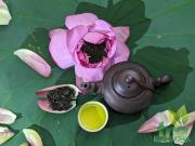 Pha trà sen Tây Hồ Minh Nghĩa