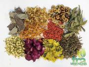 Thành phần trà sơn mật hồng sâm 10 vi