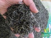 Chè búp Long Vân Thái Nguyên