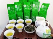 Nước pha trà OLong Shan tuyết