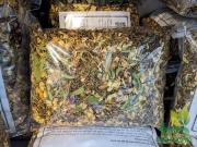 Trà sơn mật hồng sâm gói 500g chất lượng loại 1