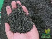 Trà tôm nõn Long Vân thượng hạng