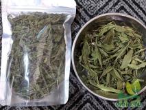 Cỏ ngọt nguyên lá loại chọn
