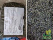 Trà giảo cổ lam sao thơm