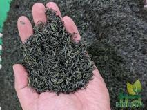 Trà tôm nõn Long Vân thượng hạng