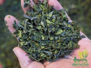Chè Thái Nguyên đầu cành