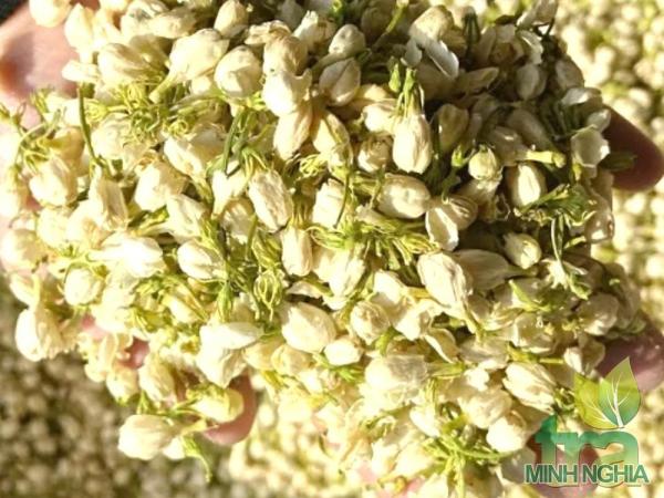 Nụ hoa nhài sấy lạnh