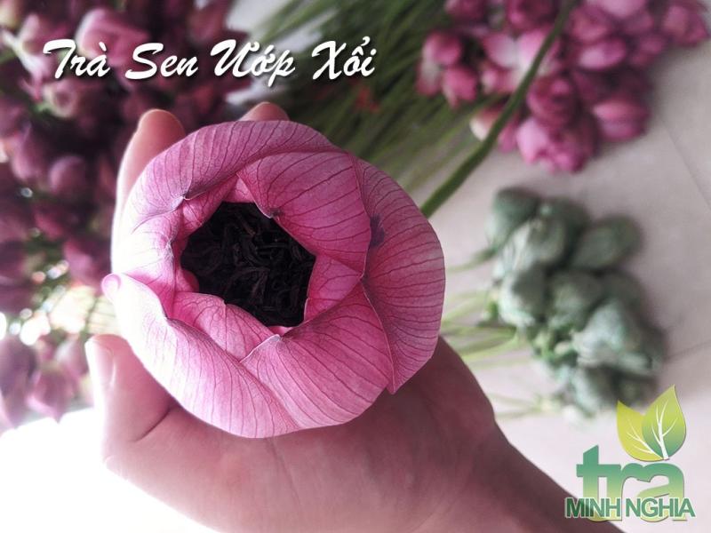 bông sen được sử dụng để ướp trà