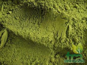 Bột trà xanh Tân Cương Thái Nguyên Bột trà xanh Tân Cương Thái Nguyên