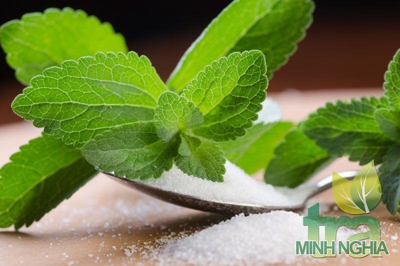 Cỏ ngọt là chất tahy thế cho đường sucrose hoặc đường ăn