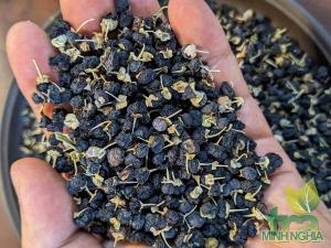 Hắc kỷ tử tây tạng Hắc kỷ tử tây tạng