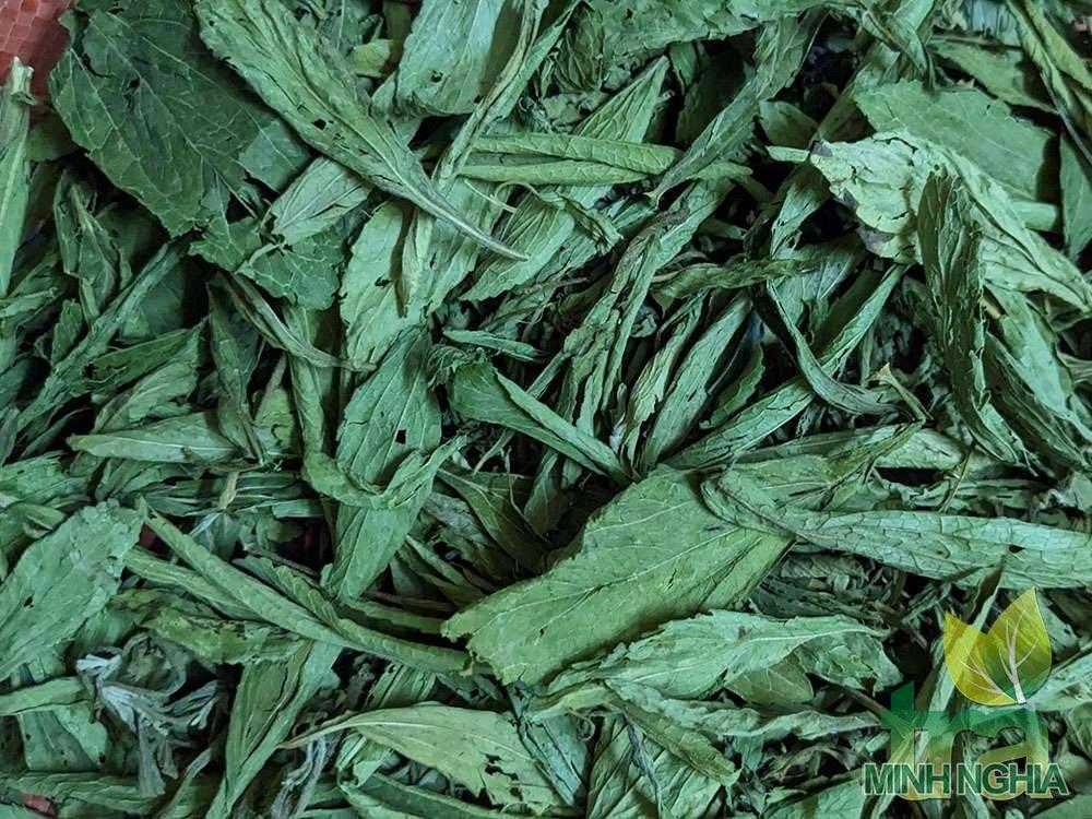 Lá cỏ ngọt được sấy lạnh để giữ được màu sắc cũng như đạt chất lượng tốt