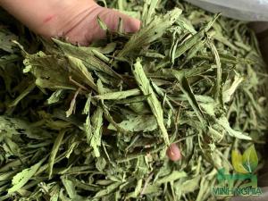 Cỏ ngọt nguyên lá sấy lạnh Cỏ ngọt nguyên lá sấy lạnh