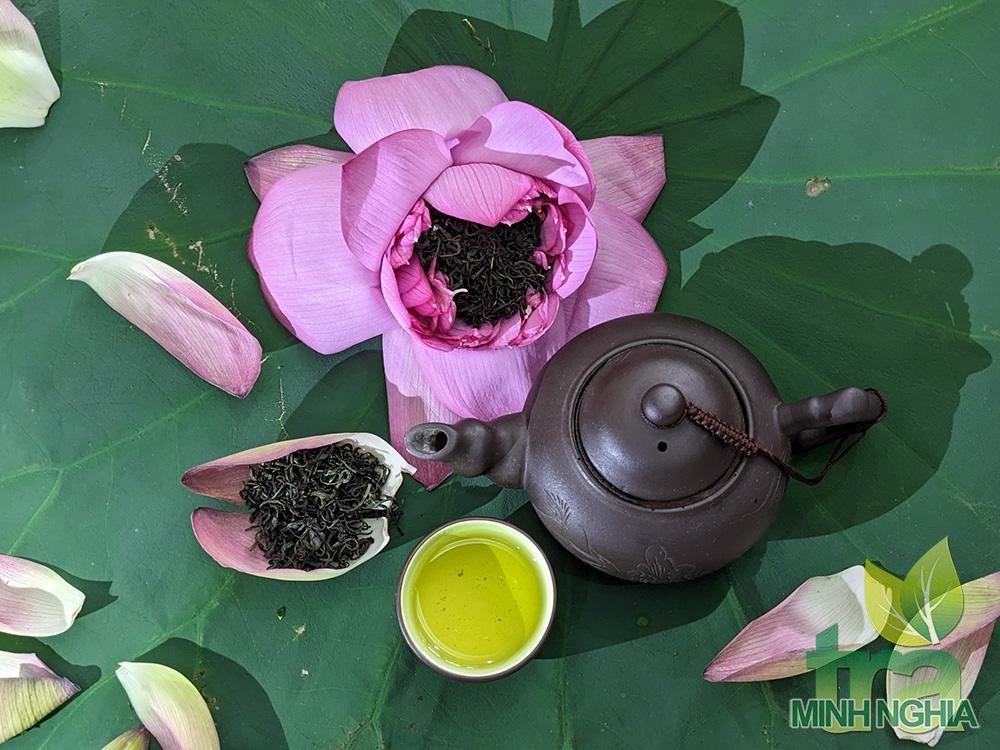 Nước pha trà sen thượng hạng có màu vàng cốm rất đẹp