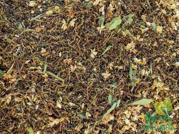 sơn mật hồng sâm vị nguyên bản