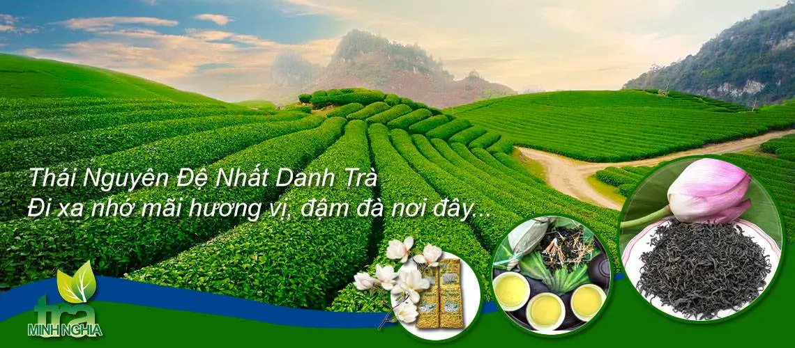 Thái Nguyên đệ nhất danh trà